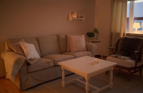 Rentjarn Chalet De Esquí | Lapland Stuga & Tours