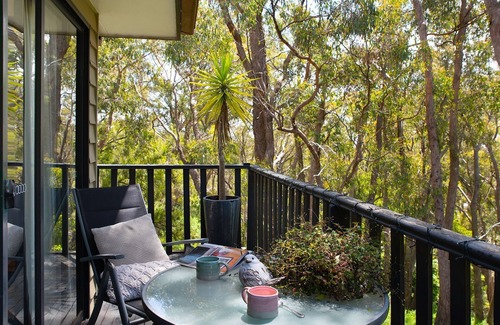 Daylesford Casa | Lardi Lane - Vistas superiores del árbol
