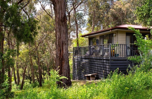 Daylesford Casa | Lardi Lane - Vistas superiores del árbol