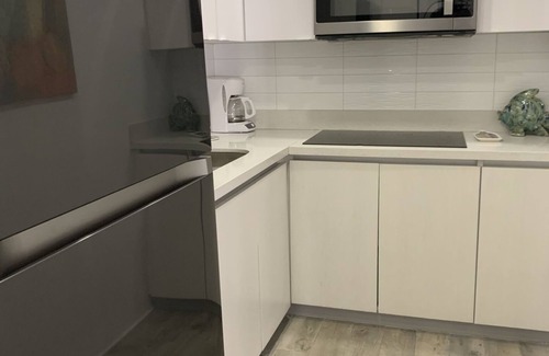Condado Apartamento | APARTAMENTO AMPLIO Y LUMINOSO EN EL CORAZÓN DEL CONDADO.
