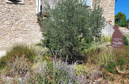 Villeneuve-Minervois Apartamento | Large apartment in the heart of the village.