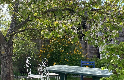 Obernai Casa | Large character house with wooded garden Obernai Alsace tourist town