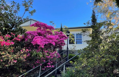 Olinda Casa | Large Cottage - Heart of Olinda - Old Police station