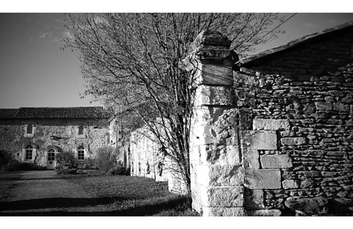 Cheneche Casa | Large house in 200 hectares of property. WE APARTMENTS - NEAR FUTUROSCOPE