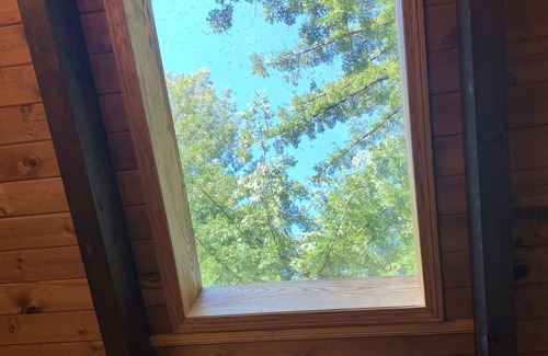 Fortuna Casa | Large house Up in the Redwoods perfect for large families. Pet friendly.
