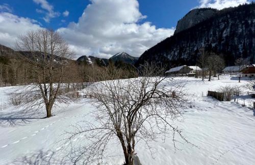 Hintersee Casa | Large house with big garden