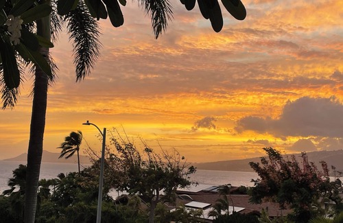 Honolulu Casa | Large Luxury Home w/ pool and Ocean Views. Special discounted rate March 2025
