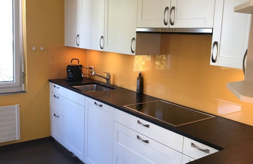 Neuchatel Apartamento | Large penthouse apartment with lake view