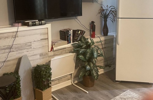 Bellevue Casa | Large private room and private bathroom enter through our front door quite clean