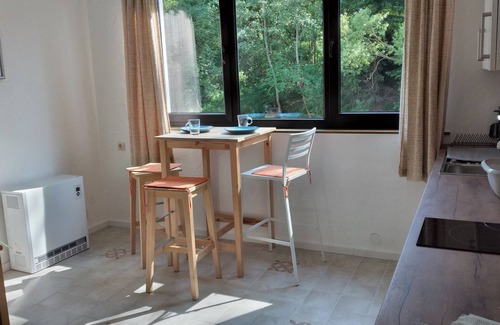 Obere Kyll Apartamento | Large vacation apartment on the Kyll