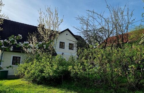 Sonntagberg Apartamento | Large vacation home with natural garden in idyllic secluded location