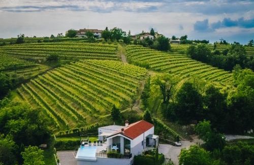 Hrusevlje Apartamento | Larya House