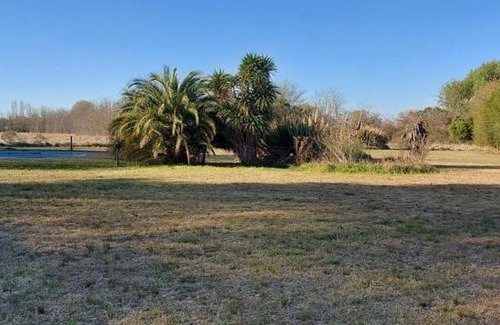 Lobos Casa | Las acacias