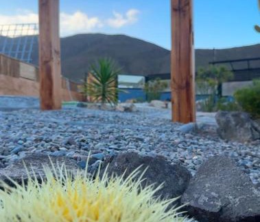 El Molle Apartamento | Las Alpinas del vallee