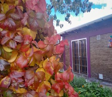 La Consulta Apartamento | Las Hortensias-monoambiente