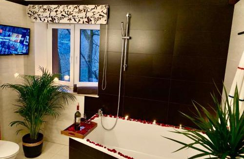 Slupsk Apartamento | LAS SŁUPSKI PREMIUM LOVE APARTAMENT NR5 Wifi Netflix Smart TV50 full kitchen double bathtub up to 4 people full pleasure quality stay