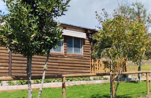 Candeleda Apartamento | Las Traviesas CABAÑA