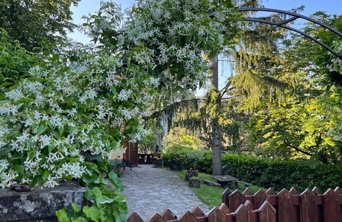 Moggiona Chalet De Esquí | LASTRI HOUSE - IN THE HEART OF THE CASENTINO FORESTS PARK