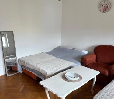 Grbavica Apartamento | Latinovic 36