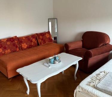 Grbavica Apartamento | Latinovic 36