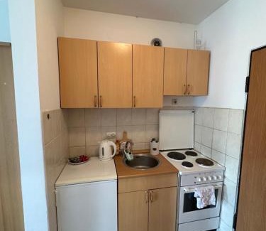 Grbavica Apartamento | Latinovic 36