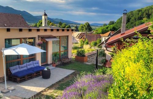 Bzenica Apartamento | Lavanda Garden Apartment
