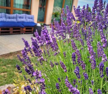 Bzenica Apartamento | Lavanda Garden Apartment