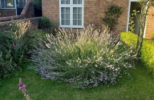 Louth Cabaña | Lavender Cottage, a pretty period cottage in Louth