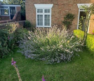 Louth Casa | Lavender Cottage, a pretty period cottage in Louth