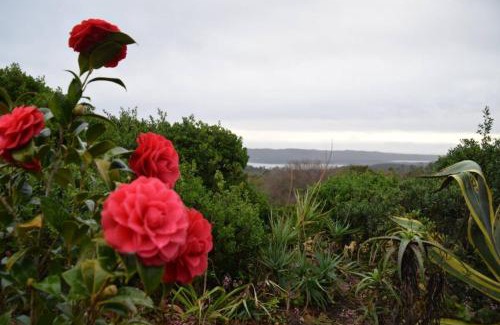 Sedgefield Apartamento | LaVera Oriole Cottage