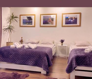 Dwikozy Apartamento | Lawendowa Przystań Sandomierska