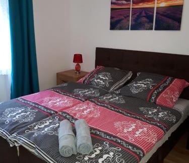 gmina Lewin Kłodzki Apartamento | Lawendowy Zakątek - Agroturystyka
