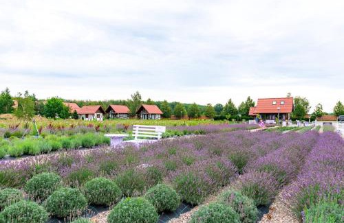 Ustka Casa | Lawendowy Zakątek Machowino- Domek Grosso