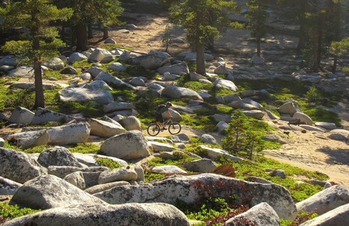 Tahoe Paradise Cabina | Lazy Bear Cabin- 3 ski areas nearby, Families, Pets-Fenced Yard, Foosball Fun