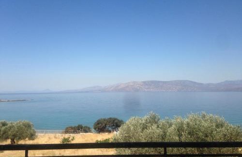 Kymi-Aliveri Casa | Lazy Farm