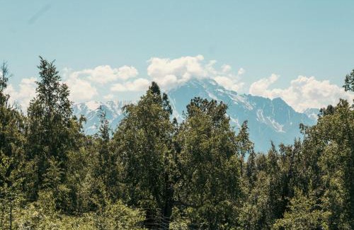 Palmer Casa | Lazy Mountain Guest House