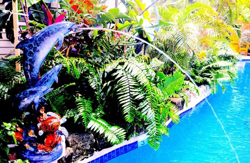 Old Town Casa | Lazy River Pool, Enchanting Garden, Old Town Key West, WiFi gratuito, bicicletas y parkin