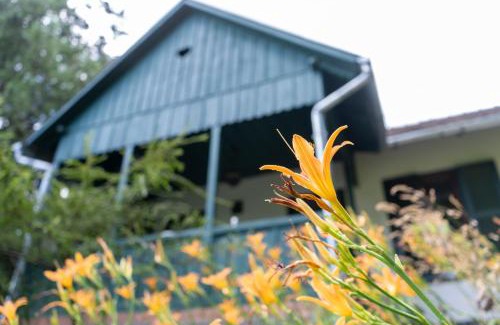 Szentendrei Casa | Leányvirág Vendégház