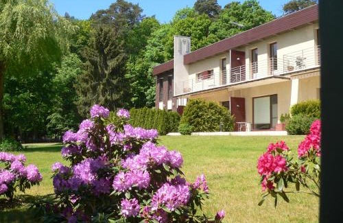 Wiselka Apartamento | Leśna Wisełka