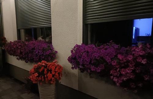 Lubniewice Casa | Leśne Niebo