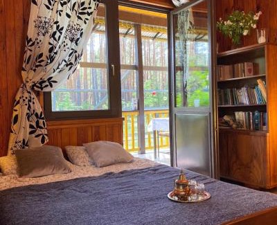 Karniewek Casa | Leśny Czar