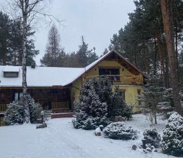 Karniewek Casa | Leśny Czar