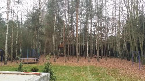 Nowa Wies Casa | Leśny dom wypoczynkowy z dużym ogrodem