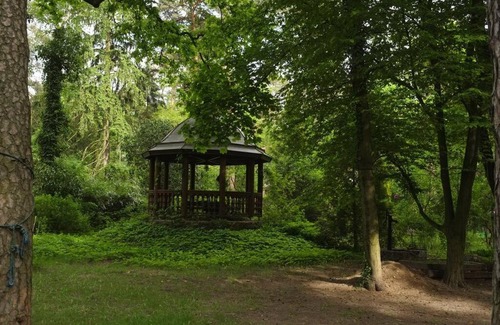 Milanowek Apartamento | Leśny kasztel pod sosnami. Pokój w koronach drzew.