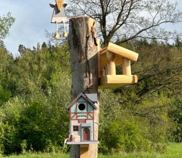 Polanica-Zdroj Apartamento | Leśny Park Polanica