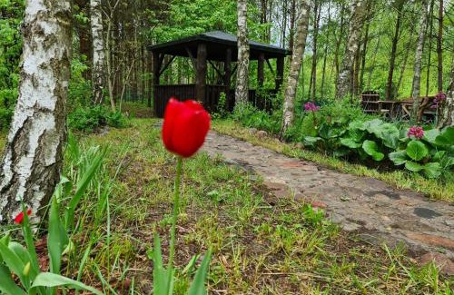 Warlubie Apartamento | Leśny Zakątek Lipinki Bory Tucholskie - sauna