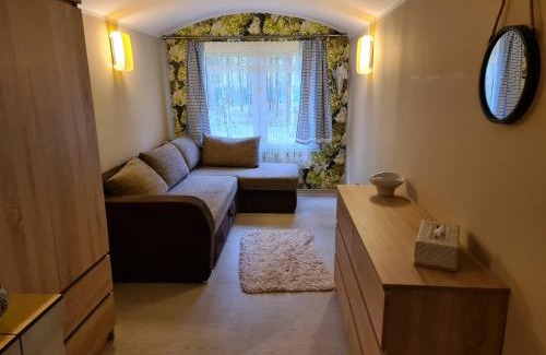 Warlubie Apartamento | Leśny Zakątek Lipinki Bory Tucholskie - sauna