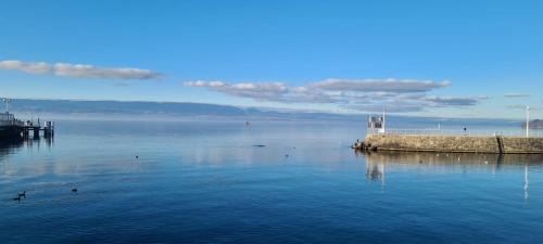 Thonon-les-Bains Apartamento | Le Bacchus