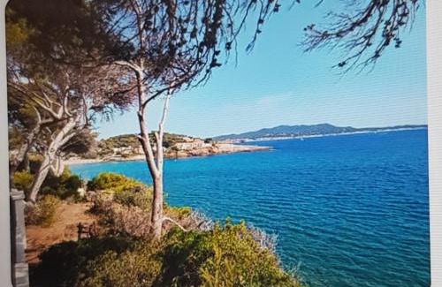 Sanary-sur-Mer Apartamento | Le Baou fully renovated 2025