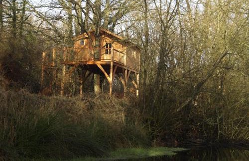 Gennes-Val-de-Loire Otro | Le Bois Davy
